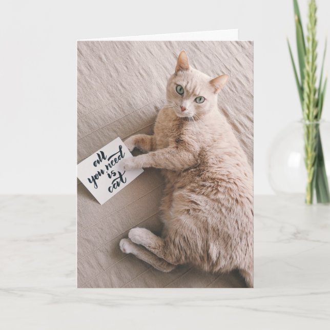 Alles, was du brauchst, ist Katze Vermisst. Karte (Vorderseite)