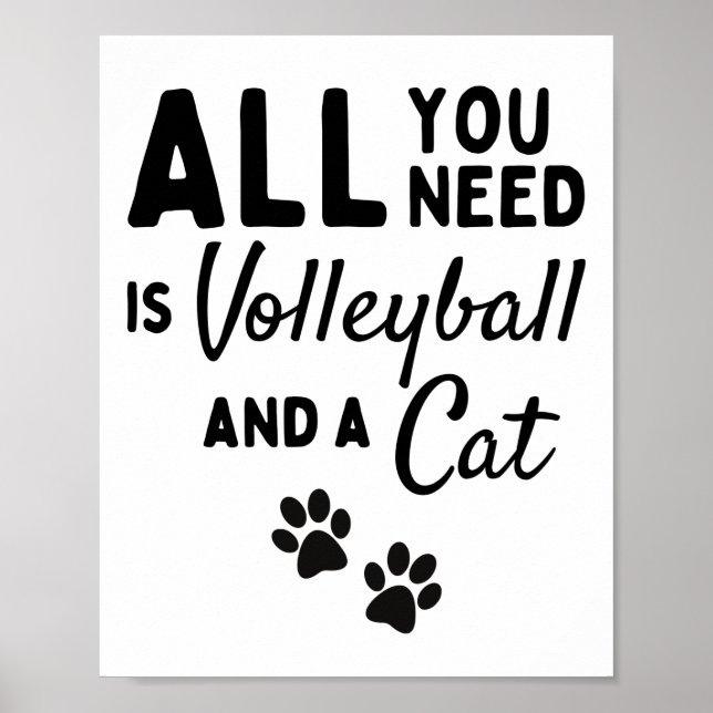 Alles, was du brauchst, ist Volleyball und eine Ka Poster (Vorne)