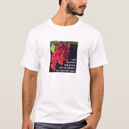 Alles, was ich brauche (heller) T - Shirt
