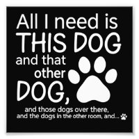 Alles, was ich brauche, ist dieser Hund Hunde Lieb