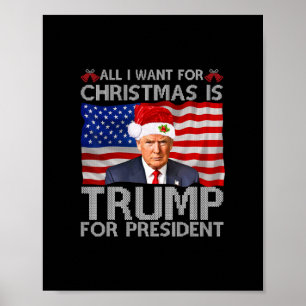 alles, was ich für Weihnachten gewollt habe, ist T Poster