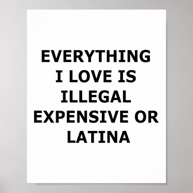 Alles, was ich liebe, ist illegal, teuer oder Lati Poster (Vorne)