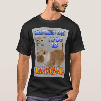 Alles, was ich wollte, ist illegales Katzenmem T-Shirt