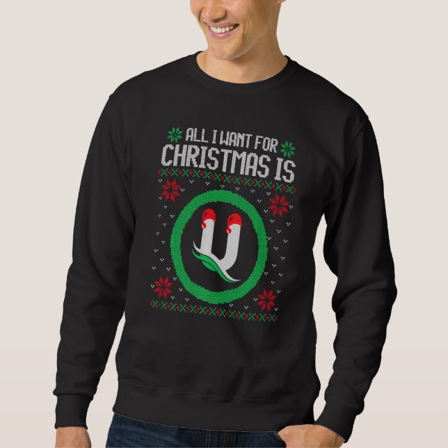 Alles, was ich zu Weihnachten Gewollt ist U Magnet Sweatshirt (Vorderseite)