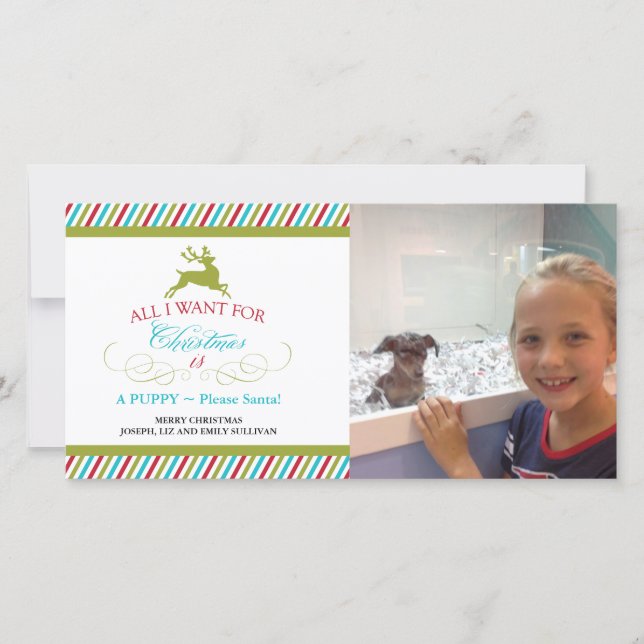 Alles, was ich zu Weihnachten Wollte (Vorderseite)