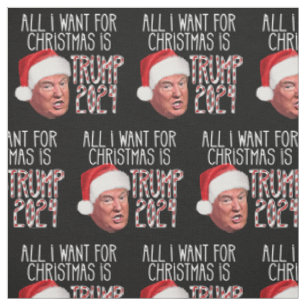 Alles, was ich zu Weihnachten Wollte, ist Donald T Stoff
