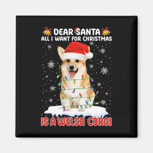 Alles, was ich zu Weihnachten Wollte, ist ein wali Magnet