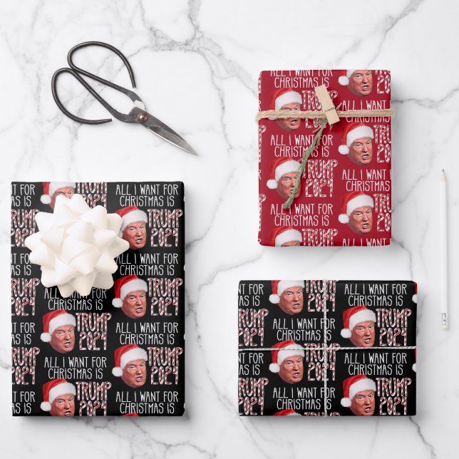 Alles, was ich zu Weihnachten Wollte, ist Trump 20 Geschenkpapier Set (Vorderseite)