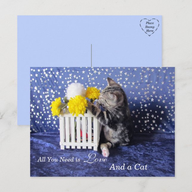 Alles, was Sie brauchen, ist Liebe und Katze Postkarte (Vorne/Hinten)