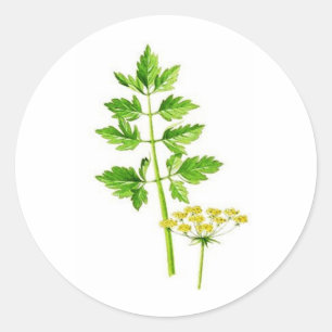 Alles was Sie brauchen ist Lovage Runder Aufkleber