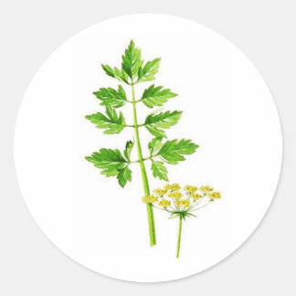 Alles was Sie brauchen ist Lovage Runder Aufkleber