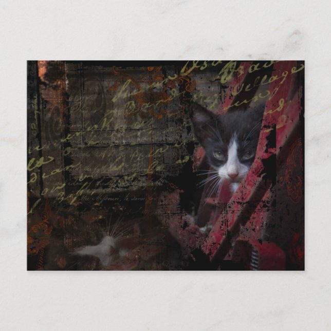 Alley 007 Postcard Postkarte (Vorderseite)