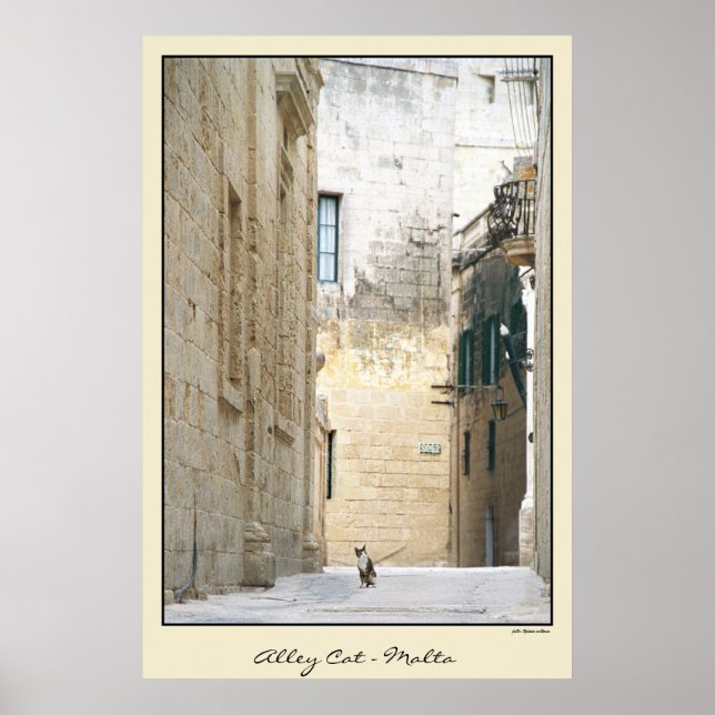 Alley Cat - Malta Poster (Vorne)