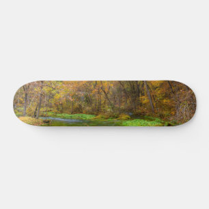 Alley Spring Herbst Wasserskateboard Skateboard