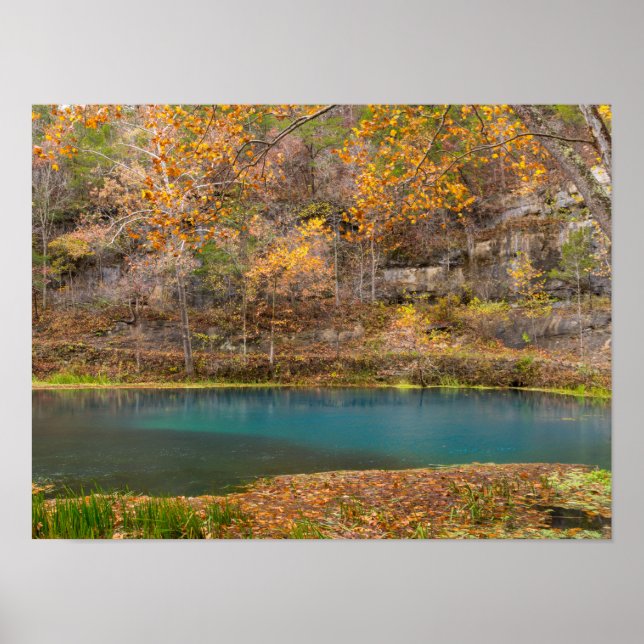 Alley Spring View Poster (Vorne)