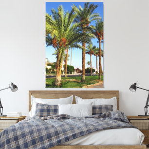 Alley von Dattelpalmen in Sharm El Sheikh Leinwanddruck