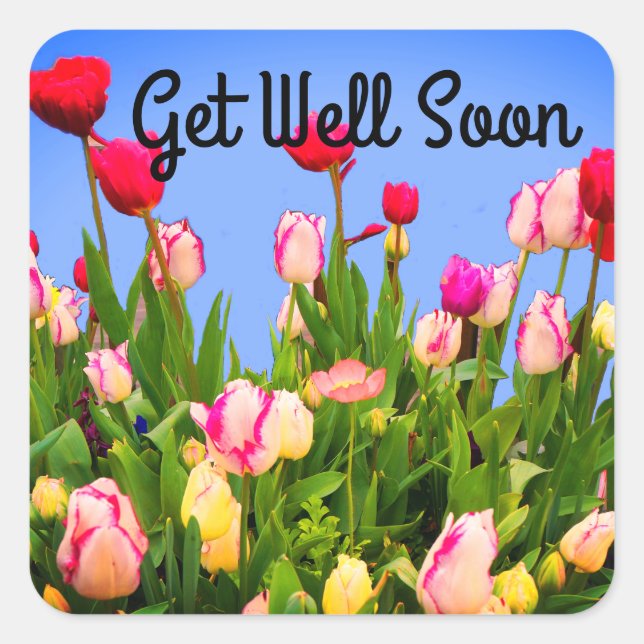 Allez-y Bientôt Diverses Tulipes Stickers #3 (Devant)