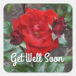 Allez-y Bientôt Stickers Rose No 1 Crimson Bouquet