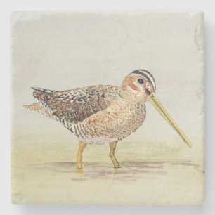 Allgemein jagen Sie Untersetzer