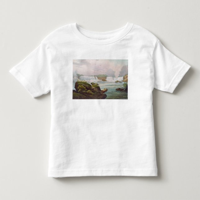 Allgemeine Ansicht von Niagara Falls von der Kleinkind T-shirt (Vorderseite)