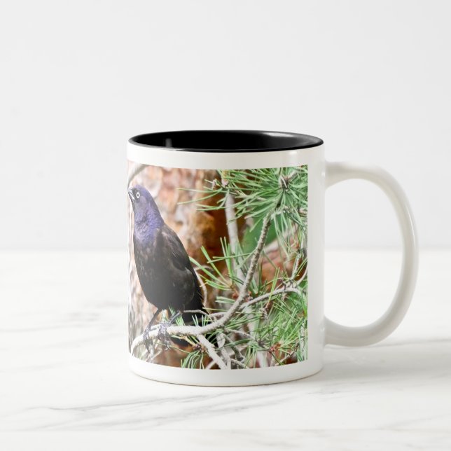 Allgemeine Grackle Tasse (Rechts)
