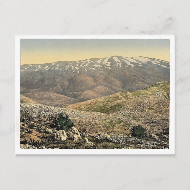 Allgemeine Sicht, Monte Hermon, Heiliges Land (d.h Postkarte (Vorderseite)