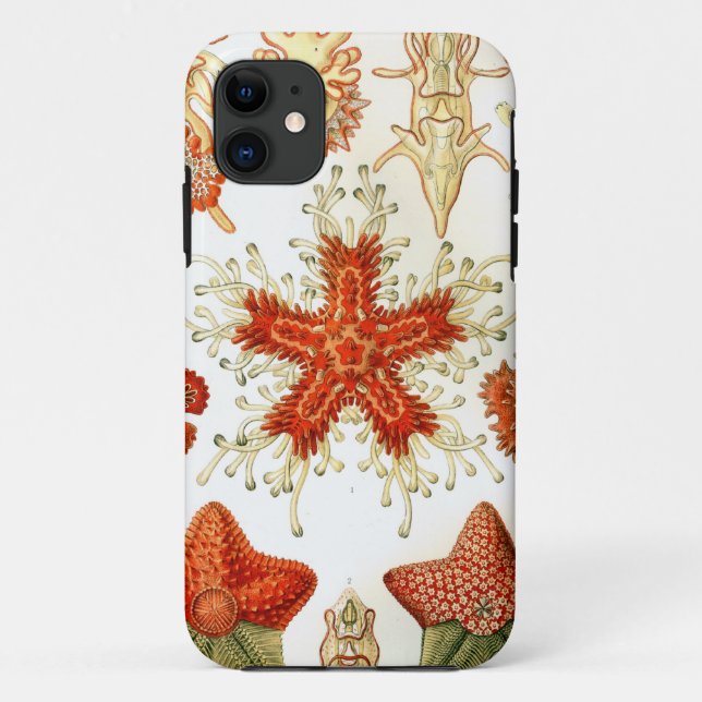 Allgemeine Starfish-Entwürfe Case-Mate iPhone Hülle (Rückseite)
