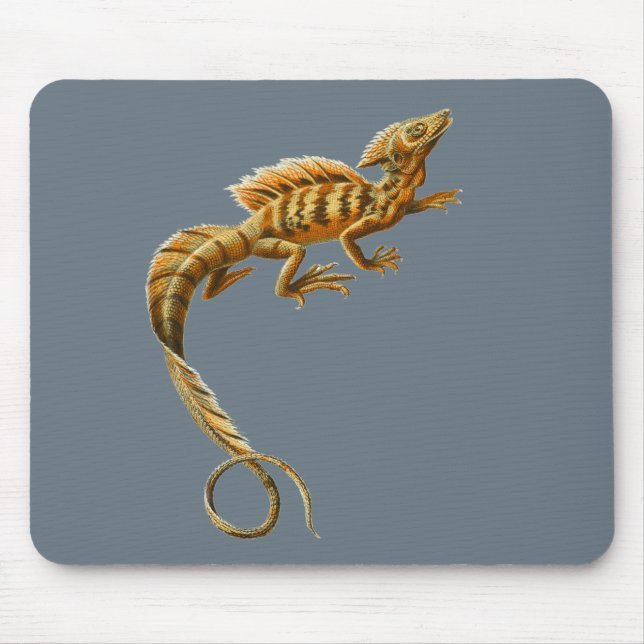 Allgemeiner Basilisk Mousepad (Vorne)