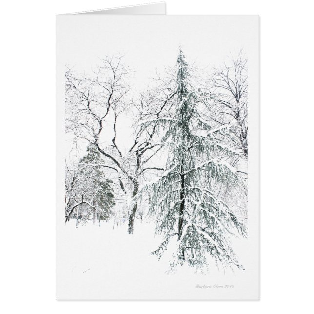 Allgemeiner Garten Bostons (Vorne)