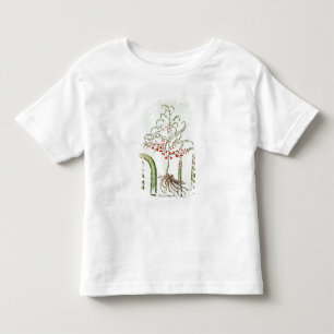 Allgemeiner Spargel in der Blume und in der Kleinkind T-shirt