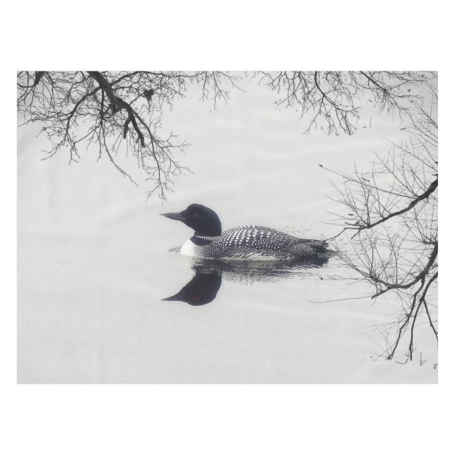 Allgemeines Loon-Schwimmen in einem Nordsee im Tischdecke (Vorderseite (Horizontal))