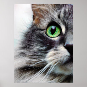 Allie (halbes Gesicht) Poster
