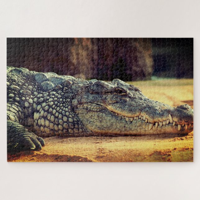 Alligator (Horizontal)