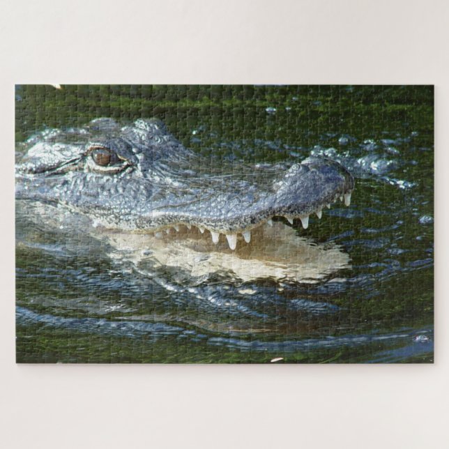 Alligator (Horizontal)