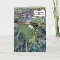 Alligator 80. Geburtstag