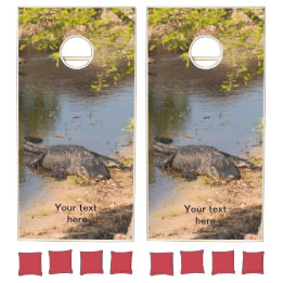Alligator américain au lac de Floride