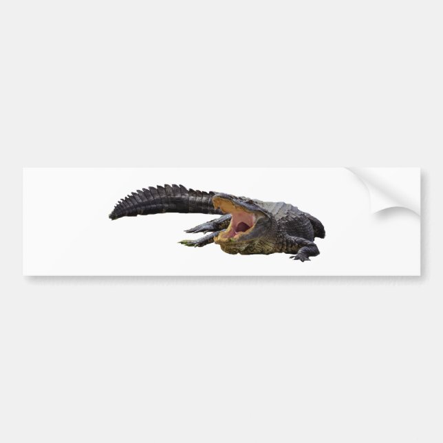 Alligator Autoaufkleber (Vorne)