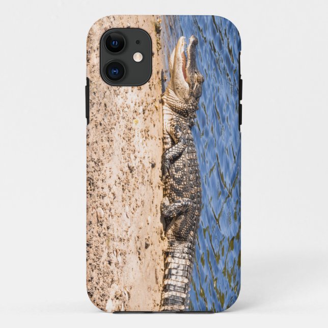 Alligator Baby sunning Case-Mate iPhone Hülle (Rückseite)