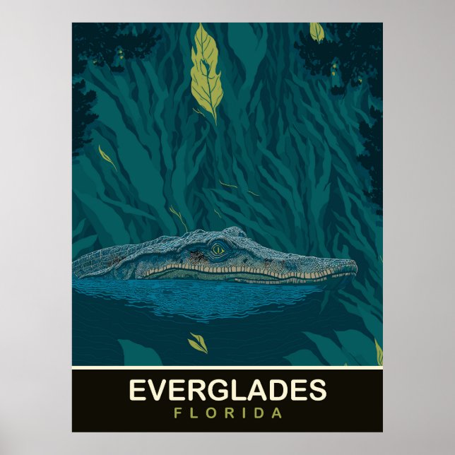 Alligator bei Everglades, Florida, Reisen Poster (Vorne)