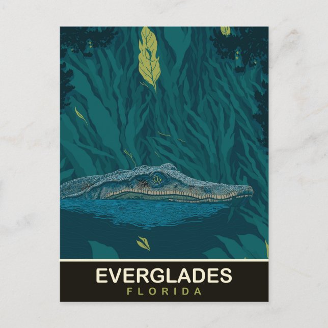 Alligator bei Everglades, Florida, Reisen Postkarte (Vorderseite)