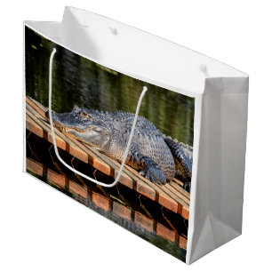 Alligator bei Homosassa Springs Wildlife Staat Par Große Geschenktüte