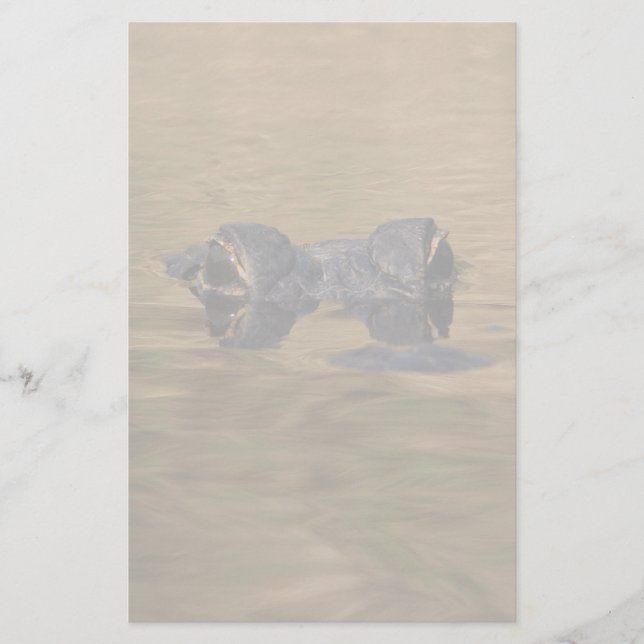 Alligator Briefpapier (Vorderseite)