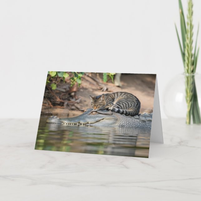Alligator Cat Nickerchen Karte (Vorderseite)