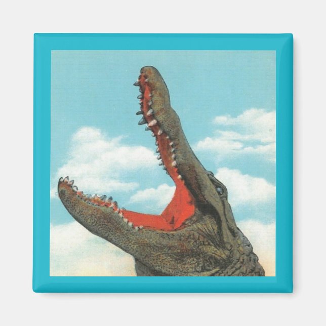 Alligator Chomp Magnet (Vorne)