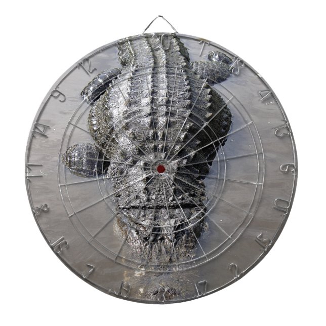 Alligator Dartscheibe (vorne)
