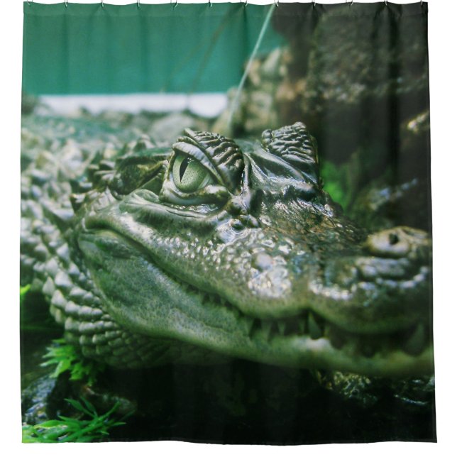 Alligator Duschvorhang (Vorderseite)