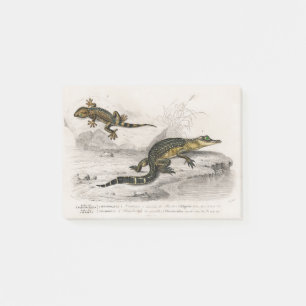 Alligator-Eidechsenzeichnung Post-it Klebezettel