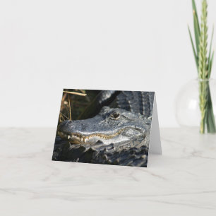 Alligator, Everglades Blank Notecard Karte