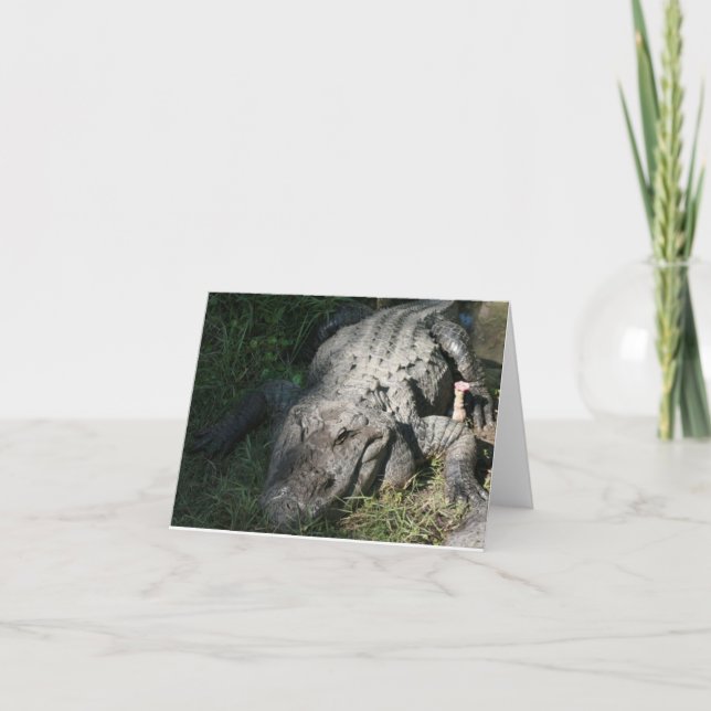 Alligator-Foto: Notizkarte (Vorderseite)