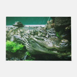 Alligator Fußmatte